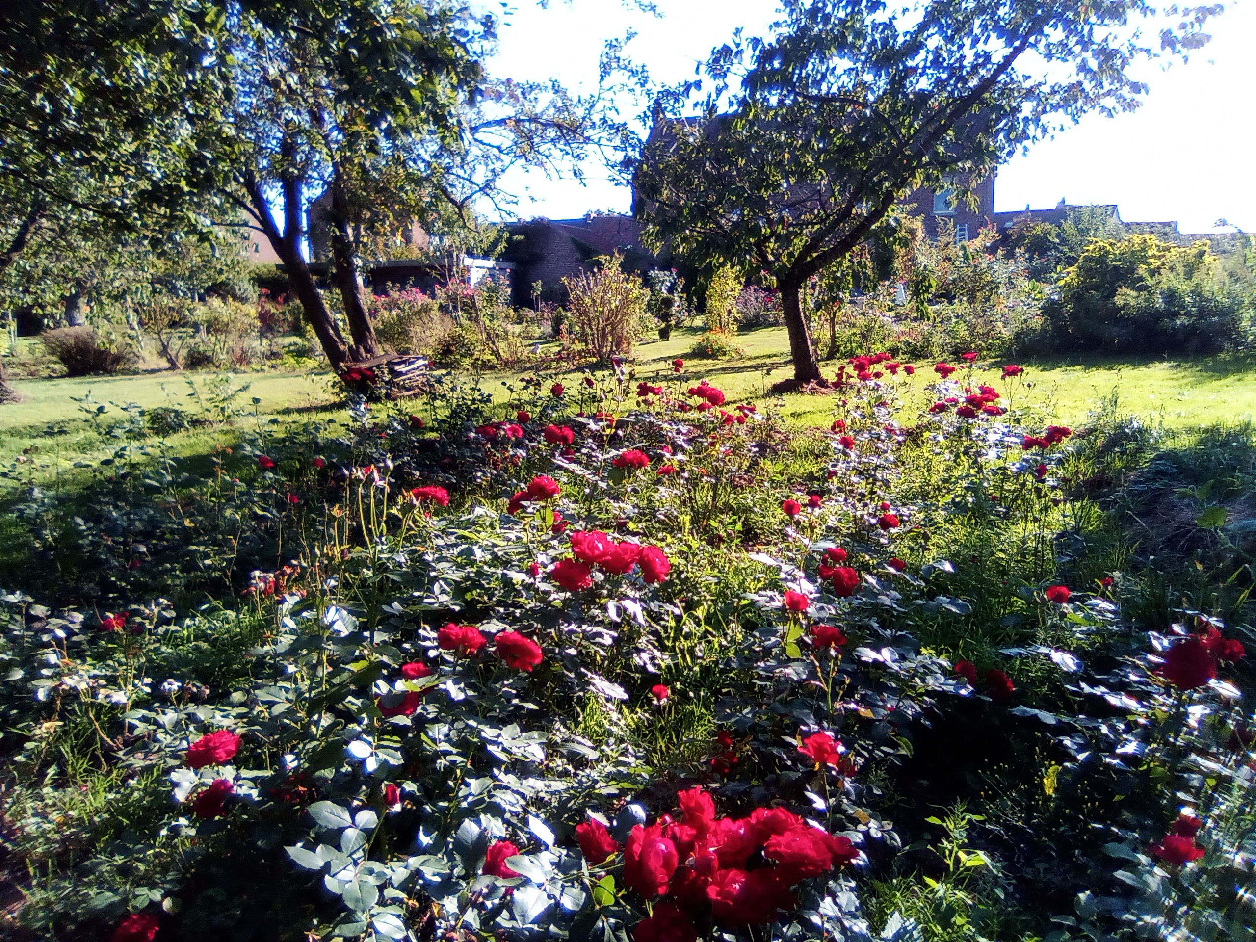 Jardin Decroupet Winand